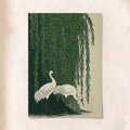 Japanese Cranes