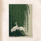 Japanese Cranes