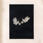 Lonely Moths