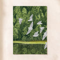Birds and Pines
