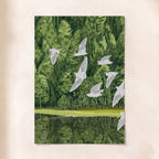 Birds and Pines