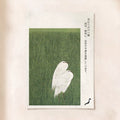 Cranes in the Grass