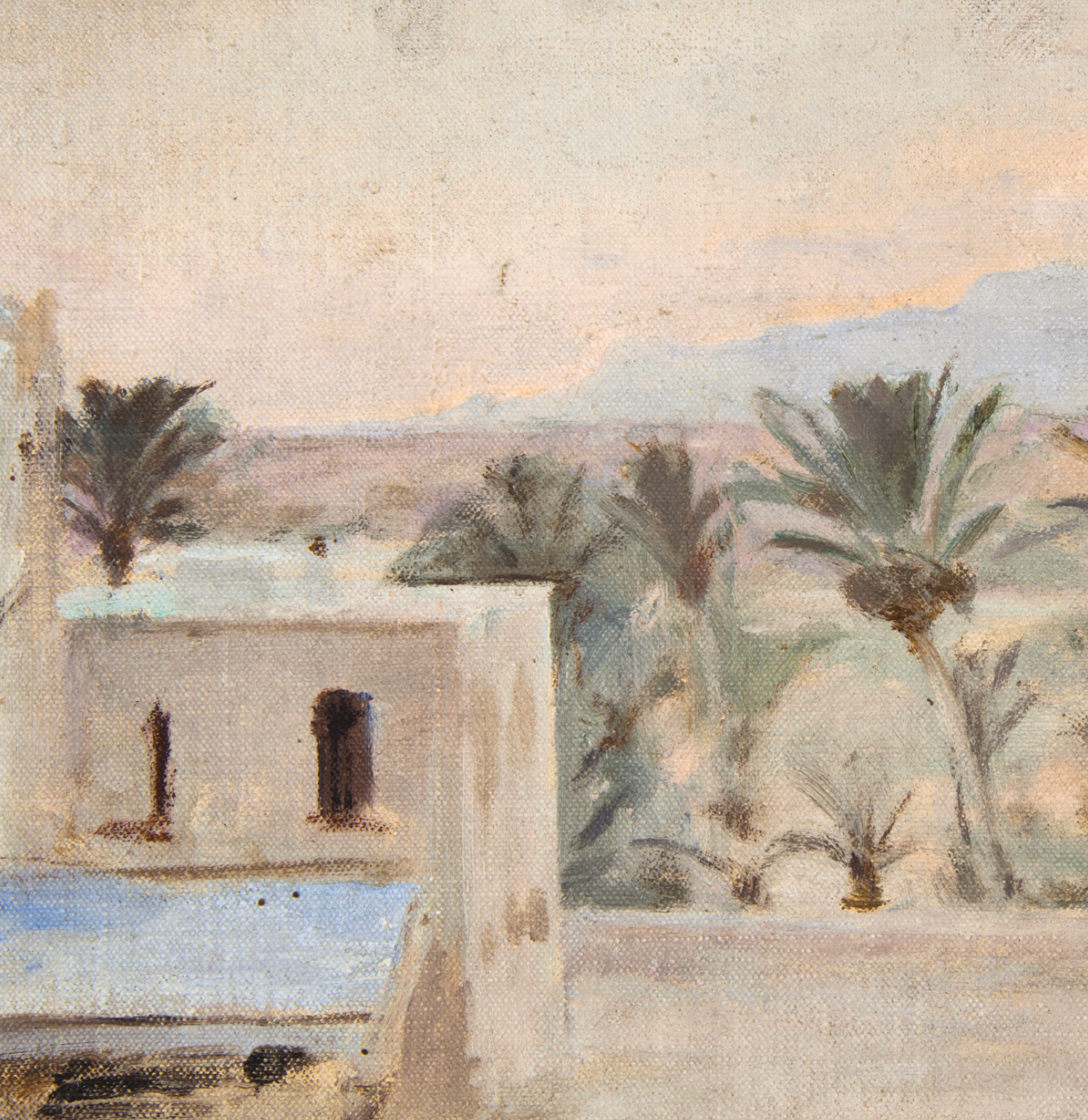 Spain Palms