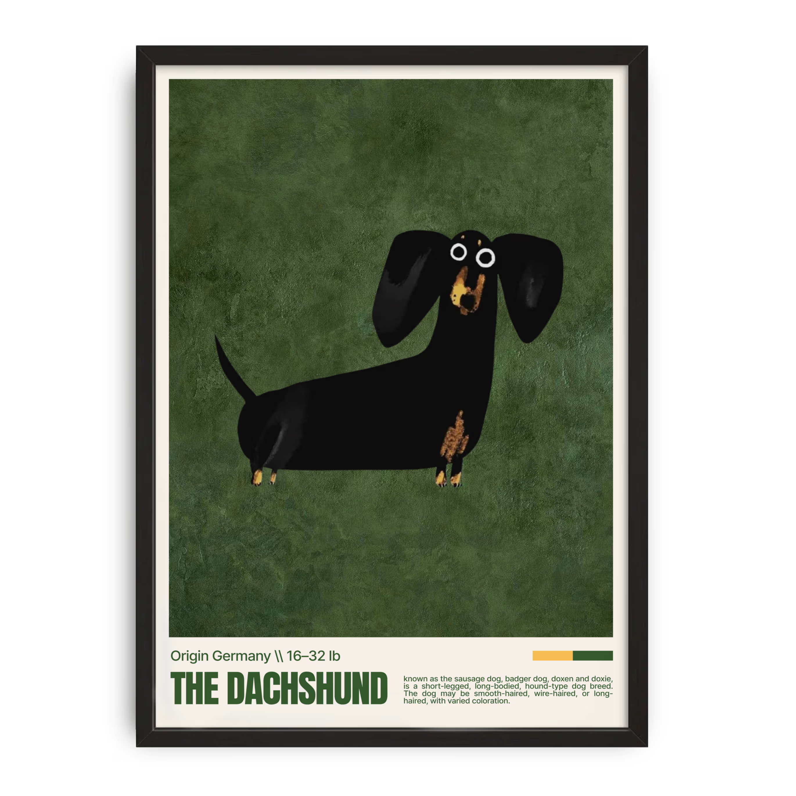 Dachshund Dog