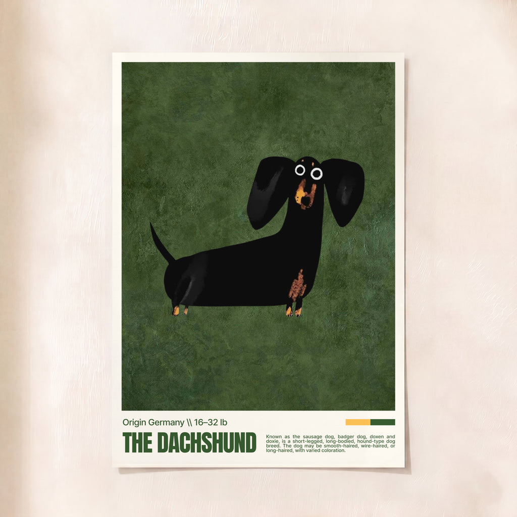Dachshund Love