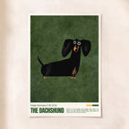 Dachshund Love
