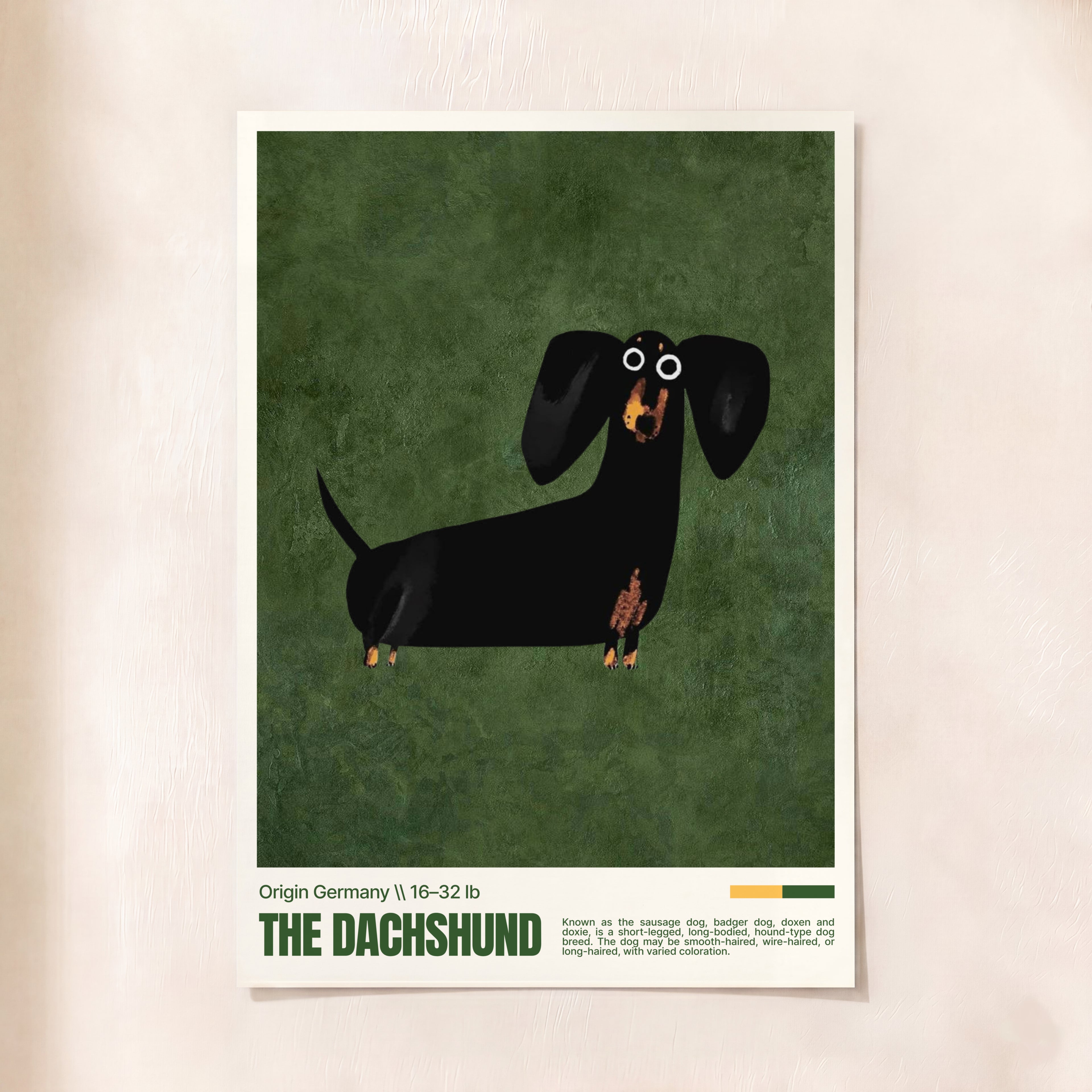 Dachshund Love
