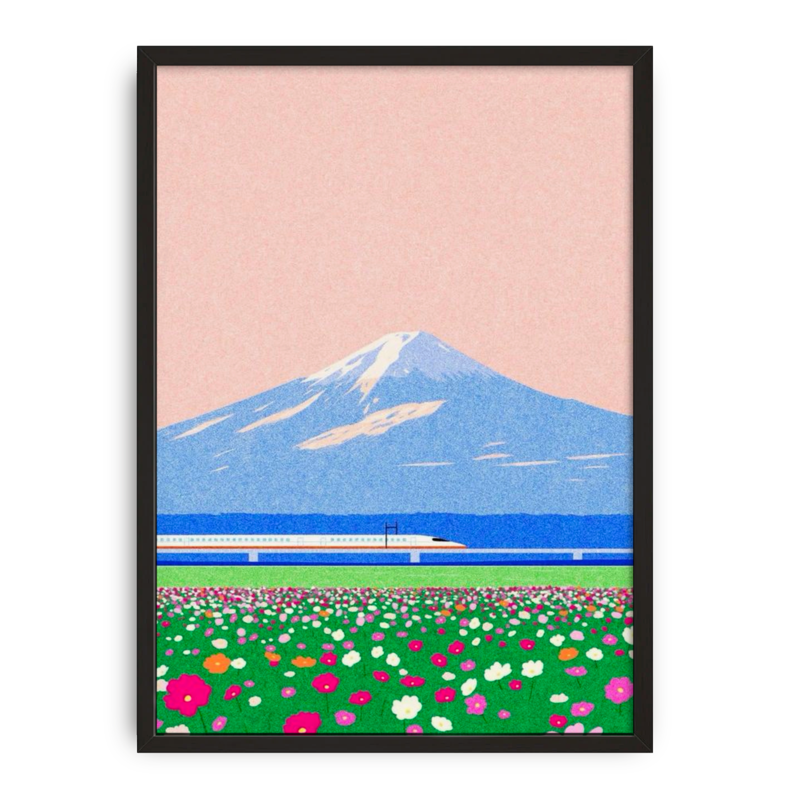 Mount Fuji III
