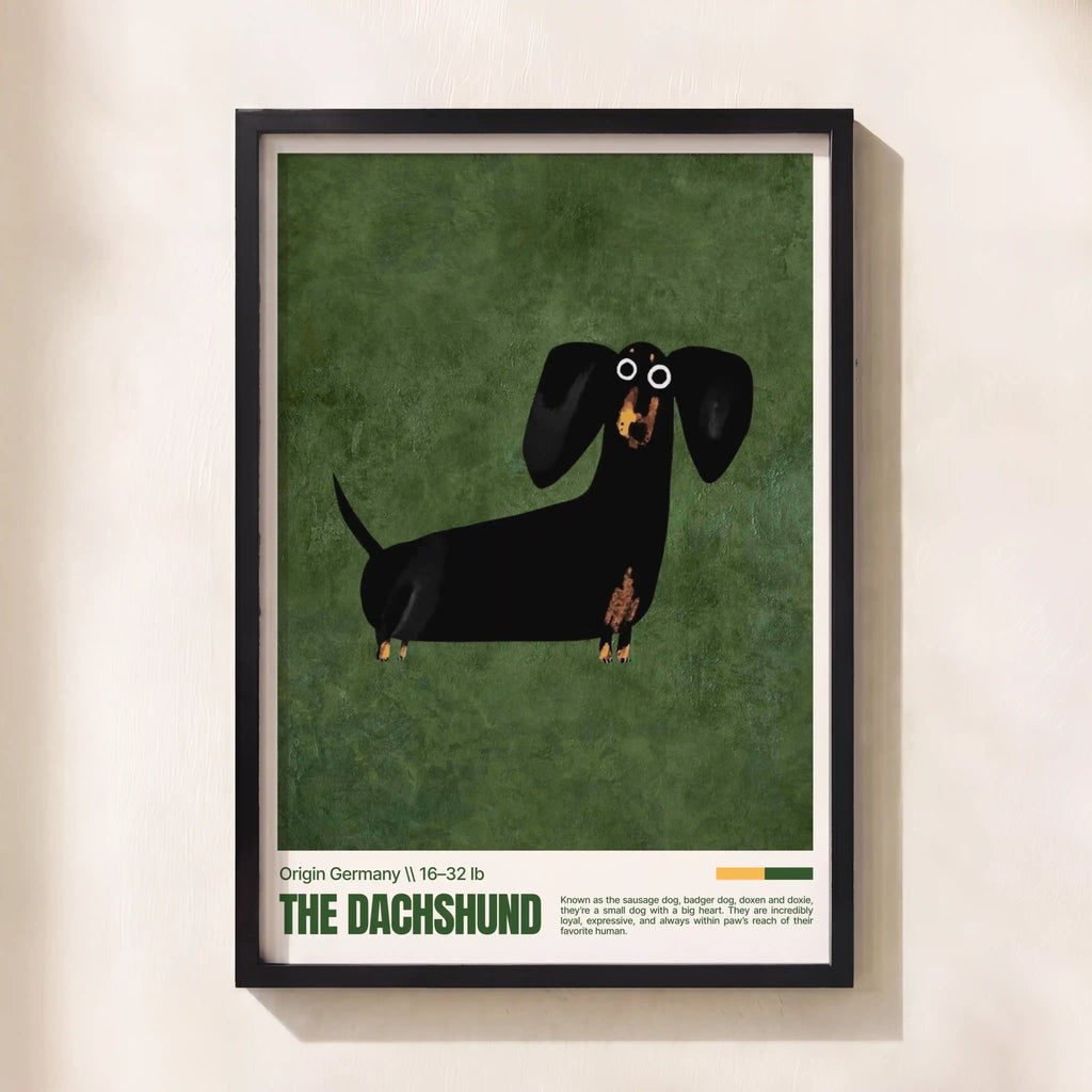 Dachshund Love