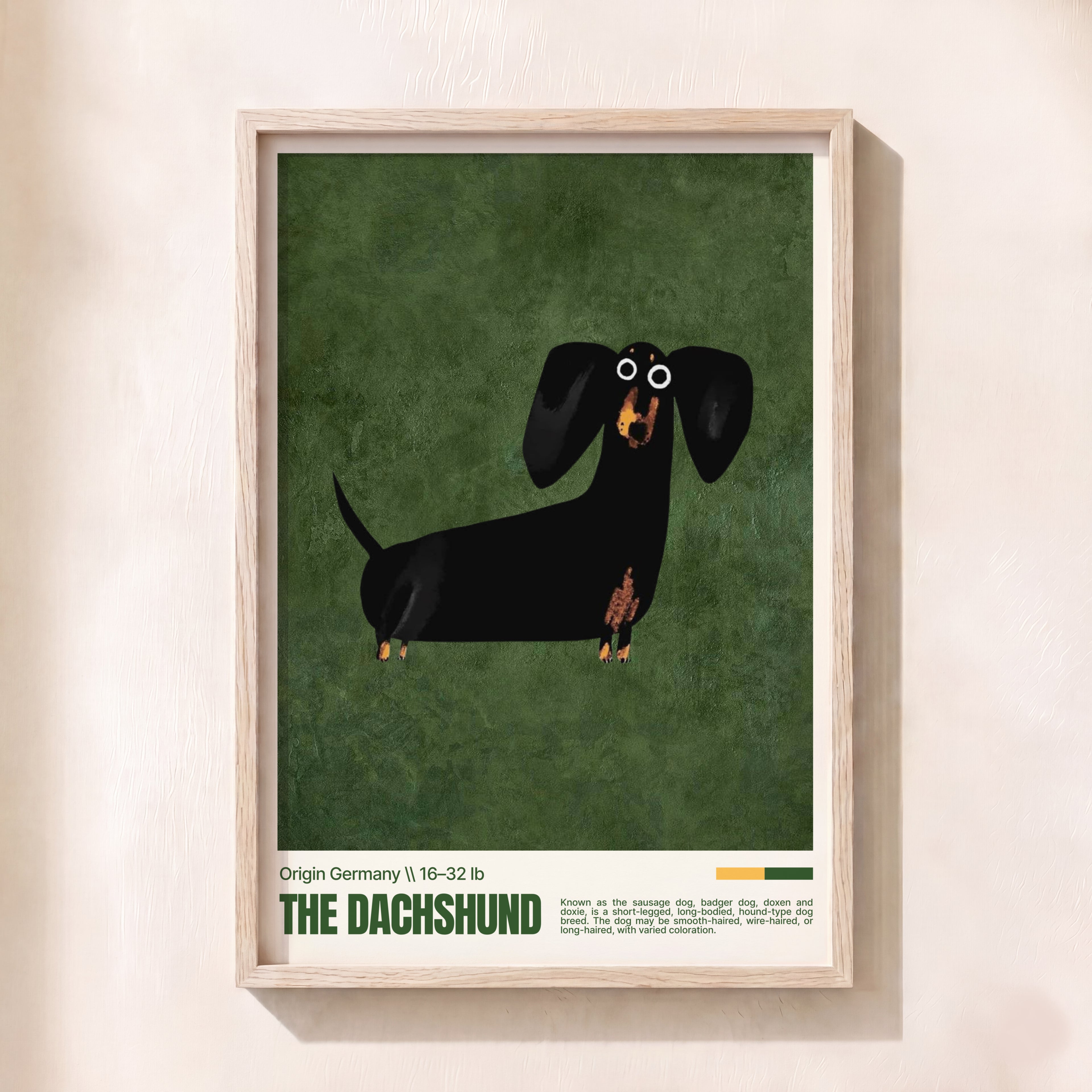 Dachshund Love