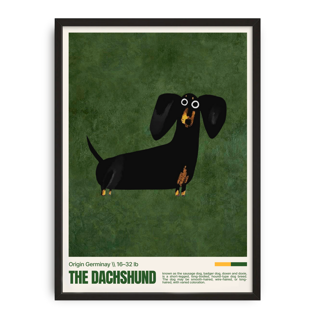 Dachshund Dog