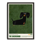 Dachshund Dog