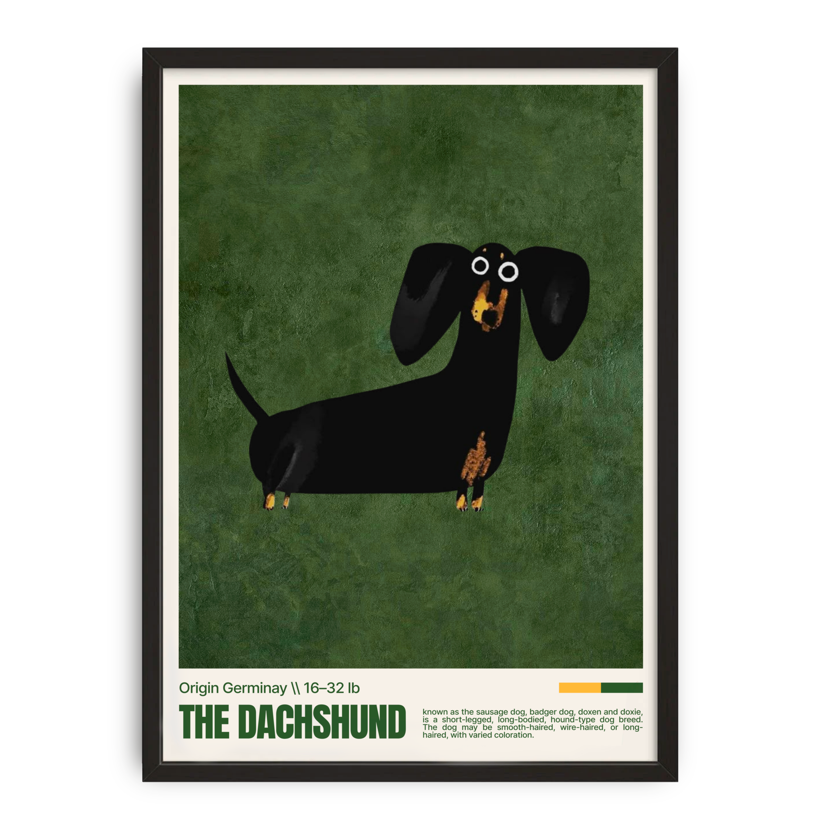Dachshund Dog